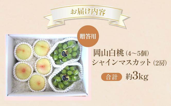桃 ぶどう 2026年 先行受付 贈答用 白桃 シャインマスカット 詰め合わせ 約3kg フルーツ 果物 岡山 赤磐市