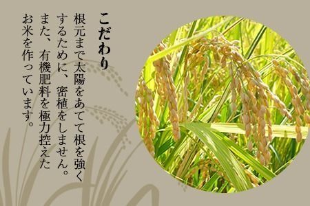 【令和6年産】新米『児玉農園』 にこまる10kg 5kg×2袋《30日以内に出荷予定(土日祝除く)》---sg_kodniko6_30d_24_20000_10kg---