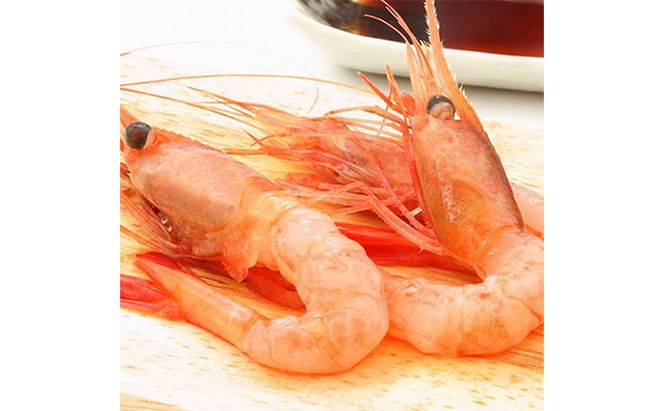 日本海甘えび 子無し 1kg【500g（約50尾）×2箱】 甘海老 あまエビ エビ 