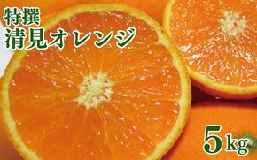 特撰　清見オレンジ 5kg+200g(補償分)【2027年2月下旬～5月上旬頃に順次発送予定】【ard240A】