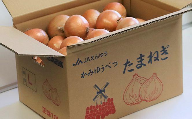 玉ねぎ 北海道産 タマネギ 20kg （10kg×2箱） [ たまねぎ 国産 産地直送 オホーツク 野菜 常備野菜 ]  えんゆう農業協同組合
