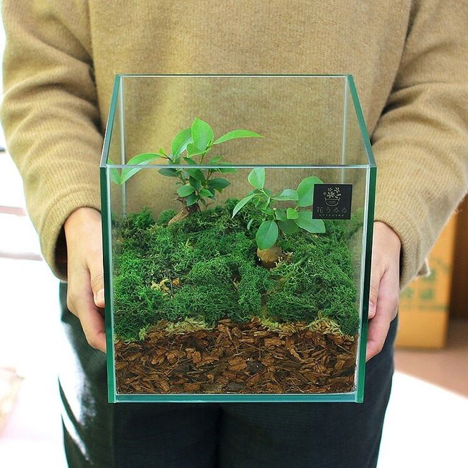 D011 モダンインテリアやギフトに「花うるるのテラリウムMサイズ」（ジオラマ人形おまけ付）