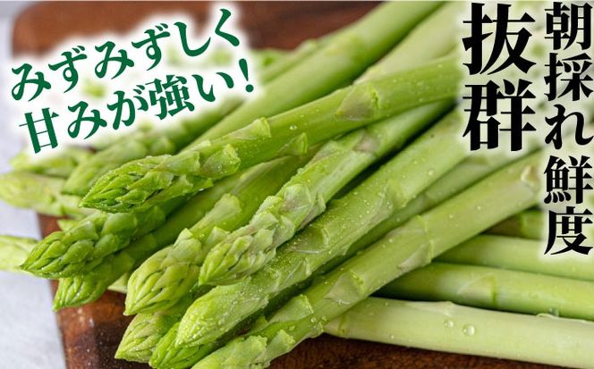 【3回定期便】【星のアスパラ】春・夏 の グリーン アスパラガス 約1kg / アスパラ 野菜 / 南島原市 / ほしのYA[SEY016]