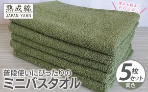 knt0072 普段使いにぴったりのミニバスタオル 5枚【グリーン 泉州タオル 高品質 綿100％ 日本製 国産 単色 シンプル】
