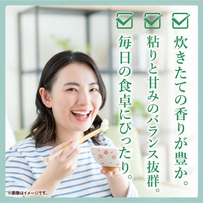 令和7年産 茨城県産 コシヒカリ15kg（5kg×3袋）【お米 米 コメ こめ こしひかり 北茨城市 茨城県】(AL255)