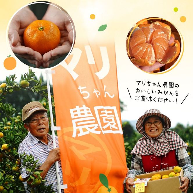 青島みかん 10kg　N0132-YB351