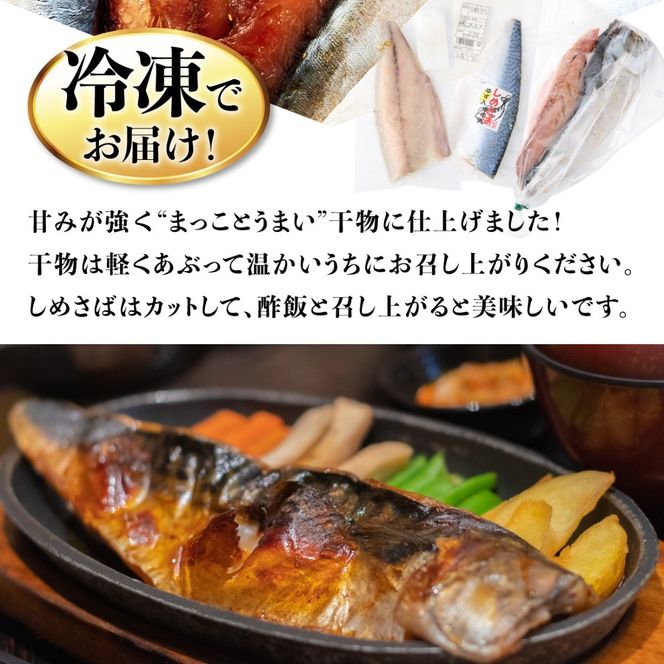 サバ 干物 定期便 ごちそうサバ3品セット｜干物・みりん干し・しめさば｜高知県室戸市 冷凍90日目安 偶数6回/奇数6回/毎月12回