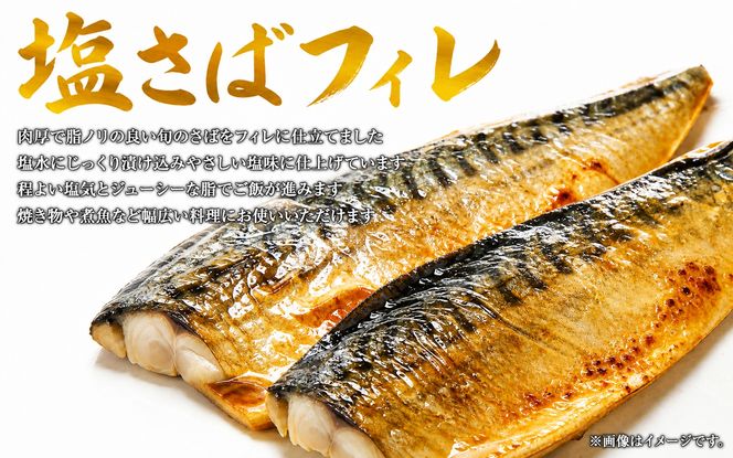 【全3回】魚鶴厳選！人気のお魚集合定期便（さば・銀鮭・うなぎ）【tkb307】