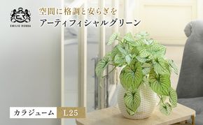 カラジュームL25 TUTEB-37200