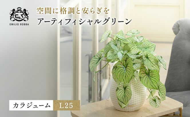 カラジュームL25 TUTEB-37200
