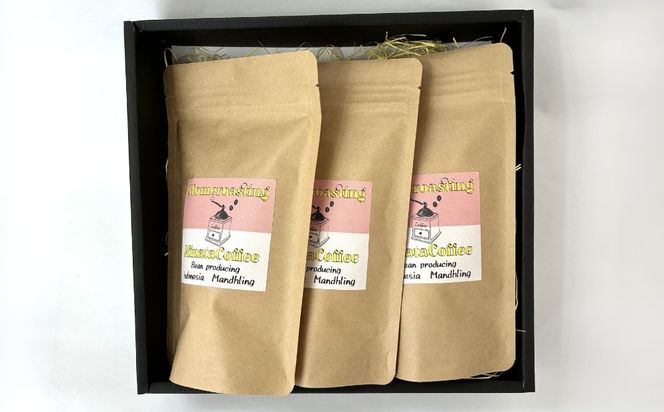 コーヒー 豆 粉（エチオピア シダモ 中煎り 中細挽き）100g × 3個セット | ミディアムロースト ギフトBOX付き コーヒー 珈琲 自家焙煎 ひなた珈琲 幸田町 送料無料