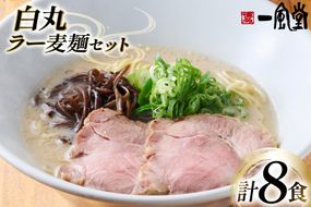 ラーメン 九州 一風堂 白丸ラー麦麺 セット [フーデリジェンス 福岡県 筑紫野市 21761093] 博多 ラーメンセット らーめん 細麺 とんこつ とんこつラーメン