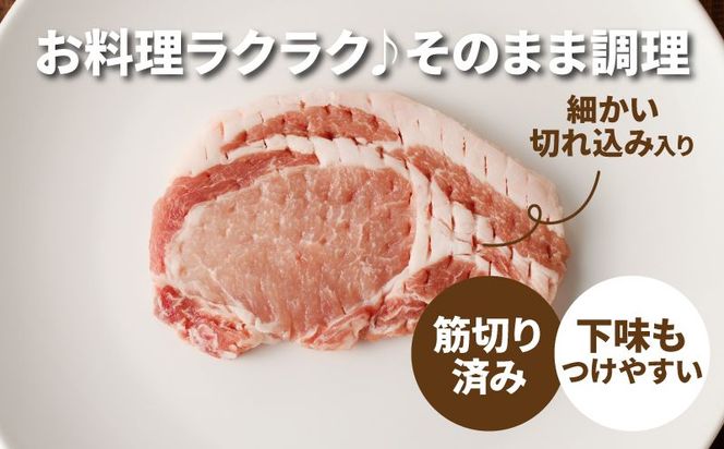 贅沢宮崎県産豚肉ロース100gカット30枚 K16_0018_2