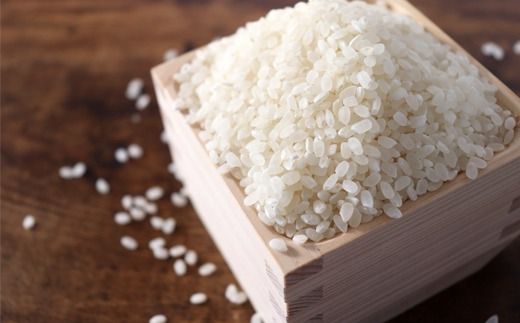 y򕌌䒬zAO-10c 򕌌Y~L[NC[5kg