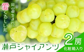 【2027年先行予約】瀬戸ジャイアンツ 2房 (1房480g以上) 合計約1kg 化粧箱入り 株式会社山博《2027年9月上旬-10月上旬頃出荷》岡山県 笠岡市 ぶどう マスカット 果物 大粒 種なし 桃太郎ぶどう 岡山県産 国産 送料無料【配送不可地域あり】---Y-50---