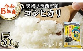 茨城県 筑西市産 コシヒカリ 5kg 三ツ星 マイスター 米 コメ こしひかり 単一米 精米 [CH003ci]