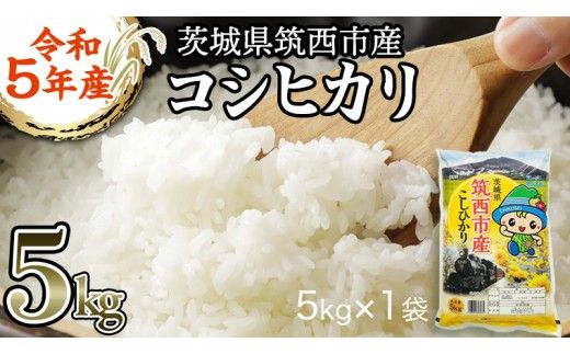 茨城県 筑西市産 コシヒカリ 5kg 三ツ星 マイスター 米 コメ こしひかり 単一米 精米 [CH003ci]