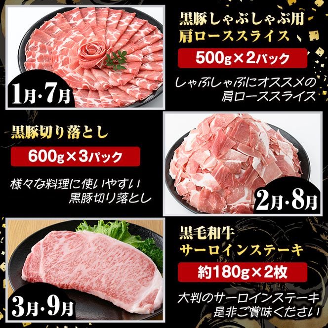 ＜定期便・全12回(連続)＞鹿児島県産 黒毛和牛・黒豚定期便 B (総量約11.9kg以上) 国産 鹿児島県産 黒豚 しゃぶしゃぶ 肩 ロース スライス 訳あり 切り落とし 黒毛和牛 サーロイン ステーキ 黒豚 バラ カタ ウデ 小分け セット 【スターゼン】akn042-36