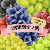 『何が届くかお楽しみ』ぶどう王国山梨の2種定期便 167-193-26y