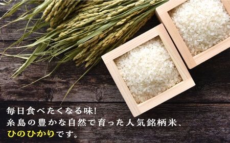 【月2回お届け】【全12回定期便】糸島産 ひのひかり 5kg 6ヶ月コース 糸島市 / 三島商店 [AIM029] 米 白米