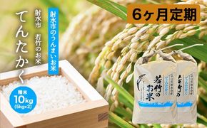 【6ヶ月定期便】【射水市】【射水の美味しいお米】若竹のお米 R8年度産てんたかく10kg（5kg×2） | 新米 先行予約 令和8年産米 ブランド米 銘柄米 こめ 白米 富山県 ※離島への配送不可 ※2026年9月上旬～9月下旬頃に順次発送予定