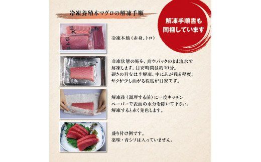 本マグロ（養殖）トロ＆赤身セット 3kg 【11月発送】【配達日指定不可】高級 クロマグロ  中トロ 中とろ 大トロ 大とろ まぐろ マグロ 鮪 刺身 赤身 柵 じゃばらまぐろ 本マグロ 本鮪【nks112B-11】