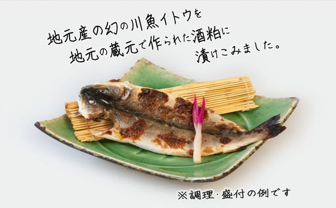 幻の魚 イトウ 酒粕漬 3匹 真空冷凍パック 冷凍 漬け魚 粕漬け 川魚 魚介 魚介類 海鮮 惣菜 おかず おつまみ つまみ お酒のつまみ 酒のつまみ 幻 魚 青森 青森県 鰺ヶ沢町