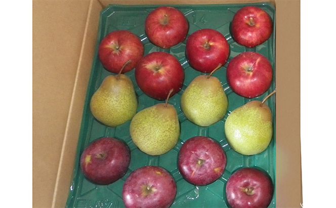 [先行受付] 北海道 仁木町産 千両梨＆りんごセット 約4.5kg 果物類 果物 くだもの フルーツ 林檎 リンゴ ナシ 詰合せ 先行予約 [くだもの直売　もり園]