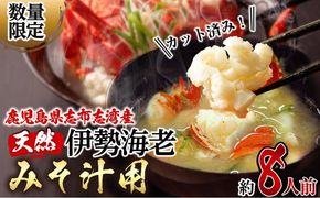 【数量限定】鹿児島県志布志湾産 カット済み天然伊勢海老＜味噌汁用＞計540g(270g×2P) b5-204