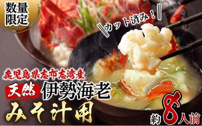【数量限定】鹿児島県志布志湾産 カット済み天然伊勢海老＜味噌汁用＞計540g(270g×2P) b5-204