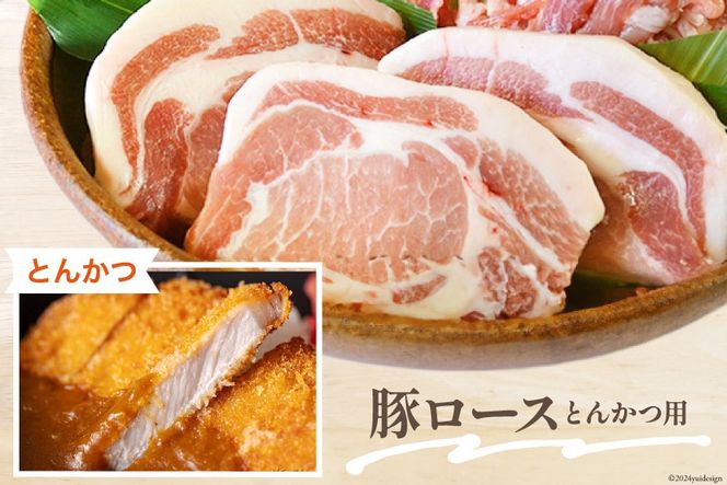 豚肉 小分け 切り落とし ロース 豚バラ スライス お料理セット 計5.4kg [甲斐精肉店 宮崎県 美郷町 31as0046] 肉 冷凍 宮崎県産 豚 ウデ 腕 切落し 詰め合わせ 真空包装 うす切り 薄切り