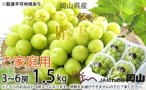 ぶどう 2026年 先行予約 ご家庭用 シャイン マスカット 晴王 3～6房 約1.5kg ブドウ 葡萄 岡山県産 国産 フルーツ 果物 岡山のぶどう 旬のフルーツ 旬の果物 大粒 種無し
