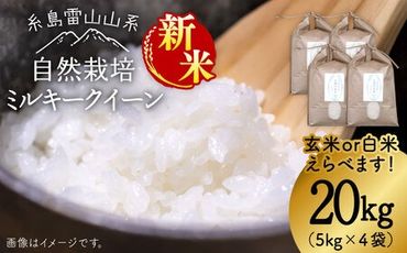 【新米受付中】令和6年産 糸島産 ミルキークイーン 20kg 自然栽培 【2024年10月下旬以降順次発送】《糸島》【大石ファーム】 [ATE016]