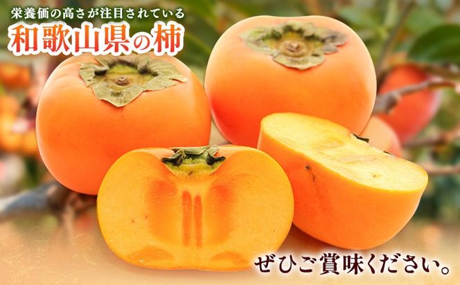 ＜10月より発送＞たねなし柿 選べる 約1kg 約2.5kg 約5kg 約7.5kg 約10kg 刀根早生 平核無柿 ひらたねなしかき 池田鹿蔵農園《10月上旬-12月上旬頃出荷》 和歌山県 日高町 柿 カキ かき たねなし ジューシー フルーツ 種無柿 種無し柿 種なし柿 無核柿---wsh_idn366_10j12j_26_8000_1kg---