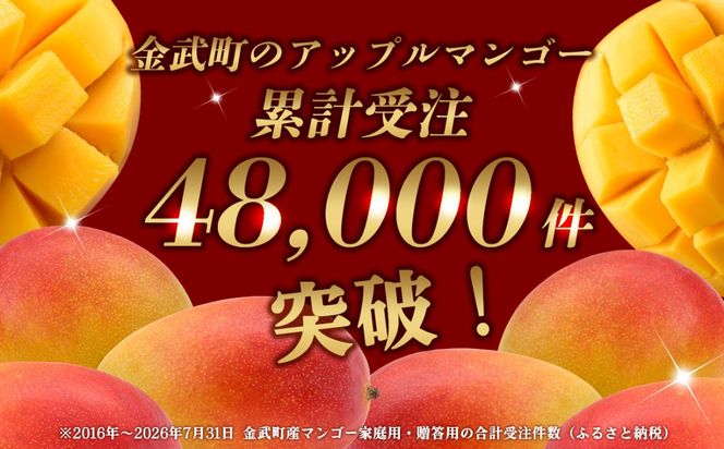 【2027年発送 先行予約】アップルマンゴー 家庭用 4kg以上（10～14玉）大容量