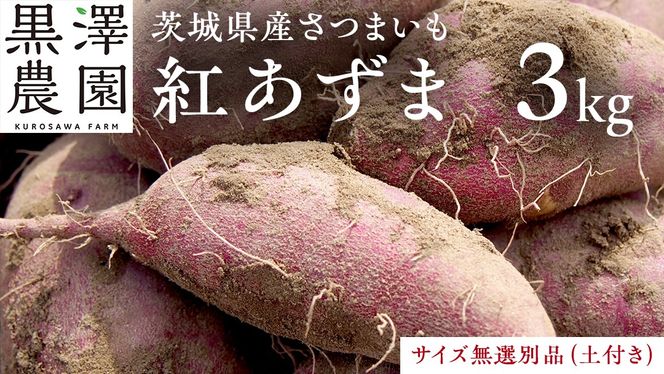 【茨城県産】さつまいも 紅あずま 3kg サイズ無選別品(土付き) 芋 サツマイモ 甘い 焼き芋 国産 おいしい 天ぷら 煮物 スープ 大学芋 [DS03-NT]