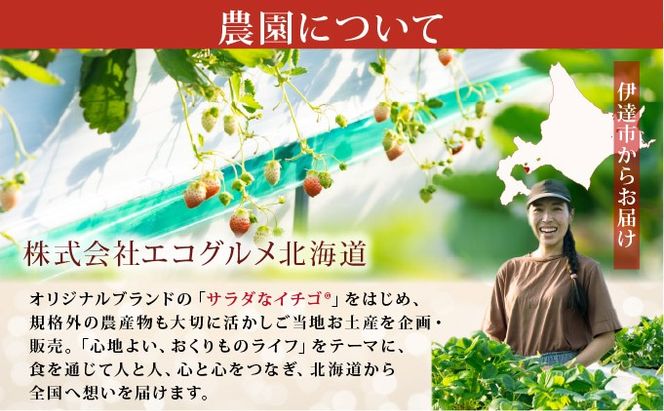＜2026年先行予約＞ サラダないちご（赤・白）【ecg-003】