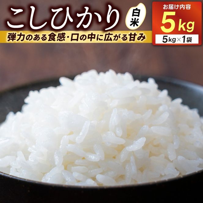 ＼新米 先行予約 11月より順次発送予定／★令和7年産★ 米 5kg 白米 精米 「コシヒカリ」山崎観光農園 栃木県 益子町 ふるさと納税 お米 こしひかり 白米 精米 5キロ 高評価 令和7年 先行予約 (AU014-11)