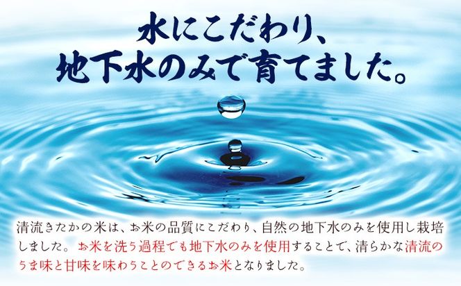令和7年産 新米 無洗米 清流きたかの米 5kg or 10kg or 15kg or 20kg《1月出荷予定》熊本県産 無洗米 白米 精米 氷川町 送料無料コメ 便利 ブランド米 お米 おこめ 熊本 SDGs---hkw_ktkn7_ac1_r7_12000_5kg---