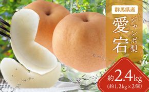 【先行予約】群馬県産ジャンボ梨「愛宕」2個(1個あたり約1.2～1.3Kg)【11月中旬～12月下旬発送予定】ANAH002