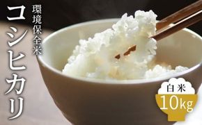 令和7年産 白米 環境保全米 コシヒカリ 10kg｜棚田米 お米 こしひかり こめ コメ 精米 おこめ もちもち 冷めても 美味しい 高品質 富山 魚津※北海道・沖縄・離島への配送不可 ※2025年10月上旬～2026年3月下旬頃に順次発送予定