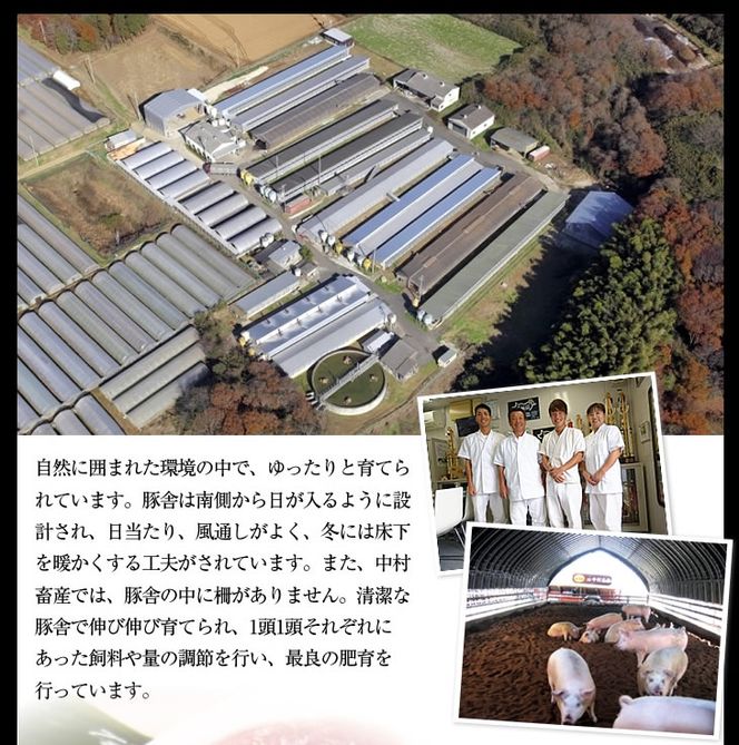 J-1 【美明豚】バラエティーセット