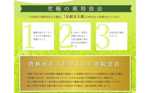 【A2-151】八女ほうじ茶 ティーバッグ3g×200個入【八女茶】