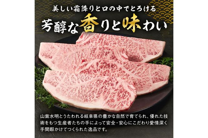  飛騨牛サーロインステーキ500g【0016-027】
