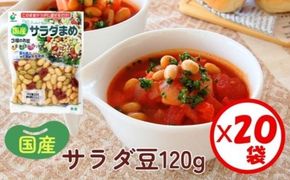 「国産サラダまめ 120g」×20袋 ※離島への配送不可