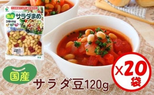 「国産サラダまめ 120g」×20袋 ※離島への配送不可