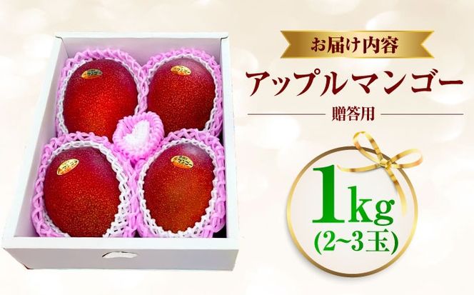 【先行予約 2026年発送 予約受付】【贈答用】仲村農園の完熟アップルマンゴー1kg マンゴー 沖縄 果物 フルーツ ギフト 沖縄市 / 仲村農園[BCCU002]