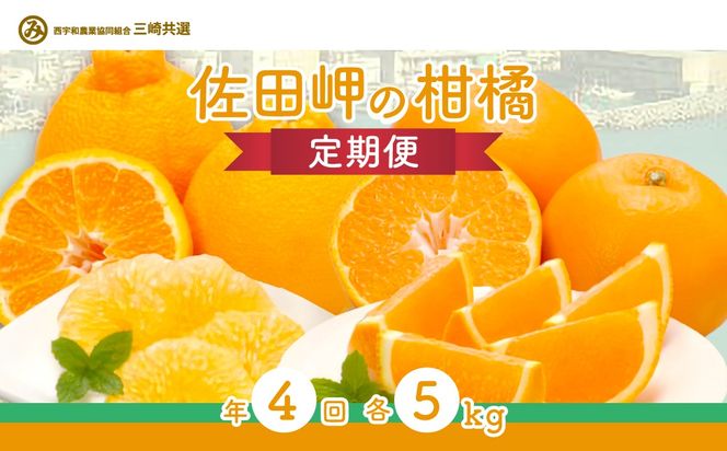 yQɕzyցz2025Nx c̊kցiN4jk  e5kg QYi12A2A4A6jւ̔zs IKTBD018