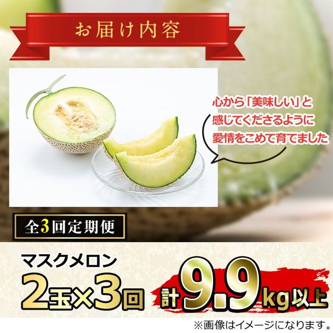 y̑Sǒzy0642210bzցES3(1E3E5)܂܂}XN(2×3Ev9.9kgȏ) }XN t[c ʕ ʎ  ʌ y܂|gz