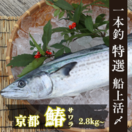 サワラ 一本釣 「特選船上活〆サワラ」 鰆 さわら 京都 宮津 海鮮 海産物 